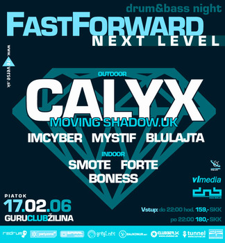 calyx flyer